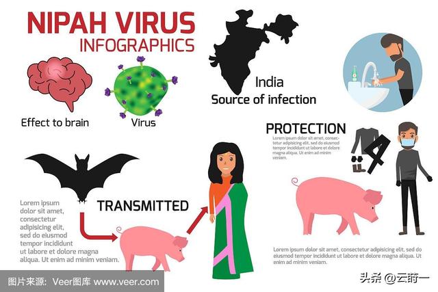 “尼帕病毒”来势汹汹，建议：每家备好5样东西，关键时刻能救命