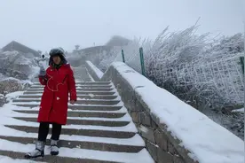 从金牌导游到“文旅顶流” “泰山娟姐”讲述跨界坚守与文化破圈之路图片