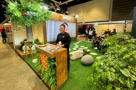 凤凰卫视以“自然风”亮相香港国际影视展 多场快闪互动引关注图片