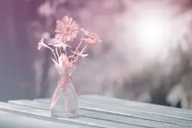 40到50岁年纪网名，微信名字昵称，干净有品味，送给想换网名的你图片