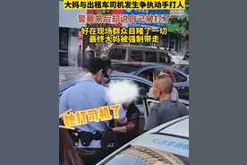 倚老卖老！沈阳大妈当街掌掴司机，诬告被揭穿，逃跑未果终食恶果图片