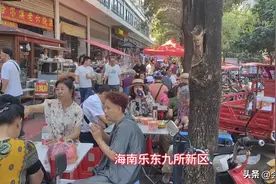 海南乐东九所新区，一个土里土气的小镇，凭啥受到大批候鸟的热捧图片
