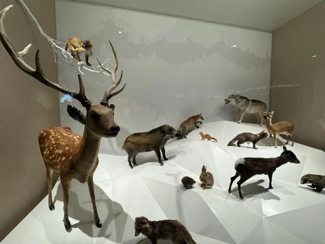 扬州旅游别再去瘦西湖东关街了，这样玩才是最好的打开方式