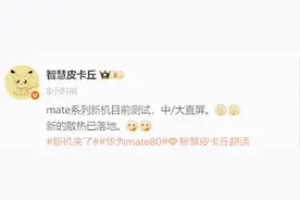 华为新机Mate80参数曝光：全系直屏加风扇散热 技术升级可能改变图片