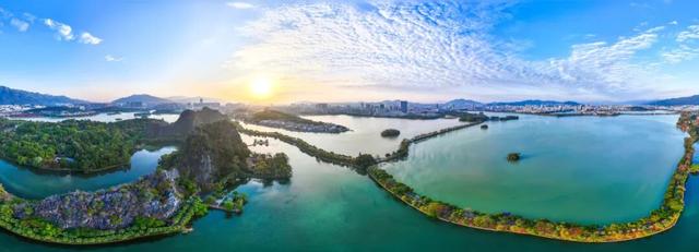 万鸟归巢的胜景，在肇庆也能看到！