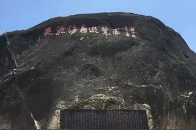 （20）加代上海斗乔巴图片