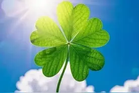 记住男人的三个生理漏洞，攻破了它，他就能死心塌地爱你一辈子。图片