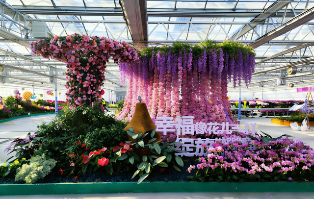 花朝传情，萤火虫飞！2026第二届昌农花卉踏春季重磅启幕，等你“戏春风”！