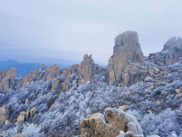 下雪啦！崂山“仙境体验卡”，限时开启