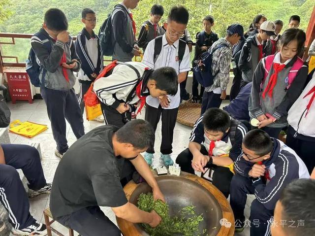 项目+文化+美食！永平旅居融合，激活县域新动能