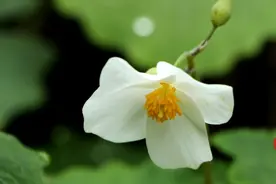 兄弟姐妹翻脸后，如果出现这几种情况，就没必要和解了图片