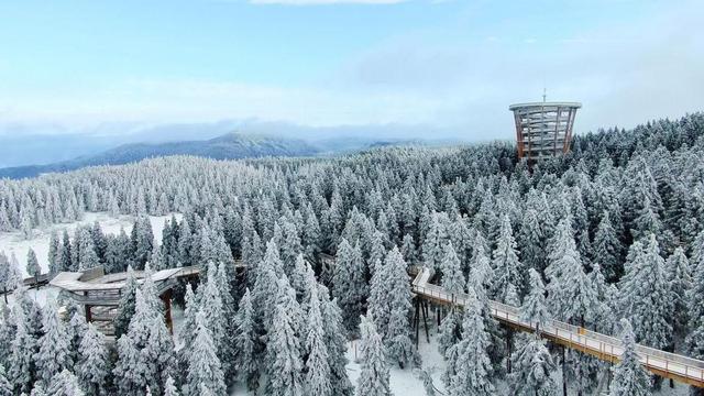 【雄奇山水 冬韵武隆】冰雪奇缘·南国雪国童话