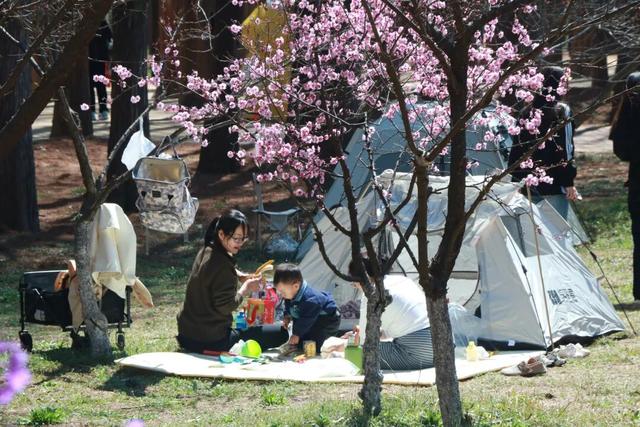 假期成绩单出炉！日照文旅热力十足！人气爆棚！