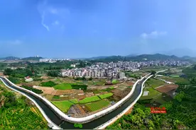 连江祠台村：枇杷村奏响振兴曲图片