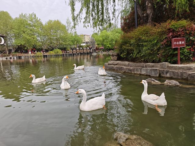汉中留坝南郑勉县三日游