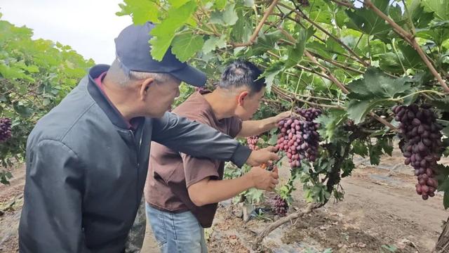 十二师秋日特色线路齐发，承包你的 “微度假”