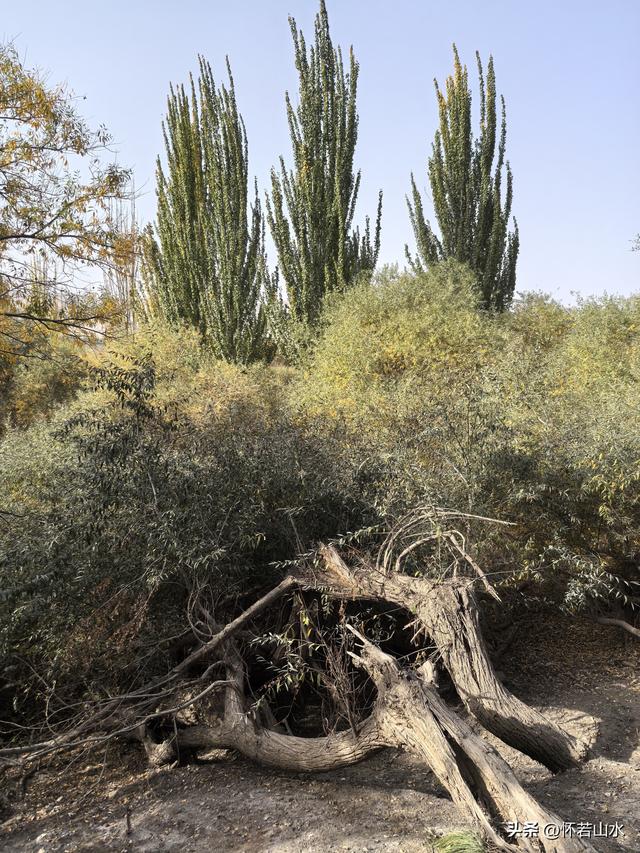 2025环南疆沙漠铁路背包自由行日记(3)---新藏公路零起点叶城打卡