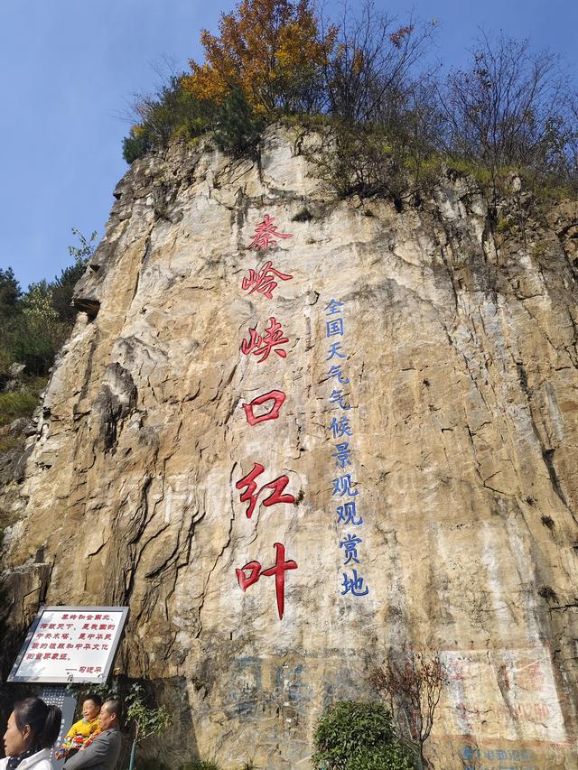 南行漫记：从卢氏走陕西S101红叶大道到南五台服务区露营