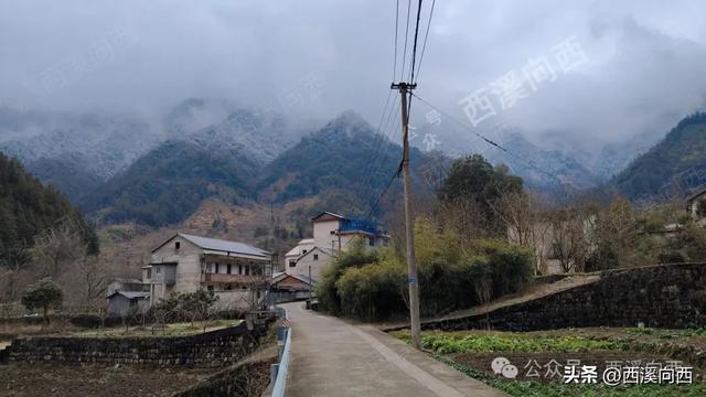 全程超150站,挑战临安最长公交通行线