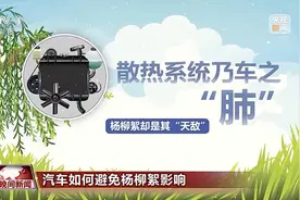 如何让汽车远离杨柳絮困扰？给你支几招图片