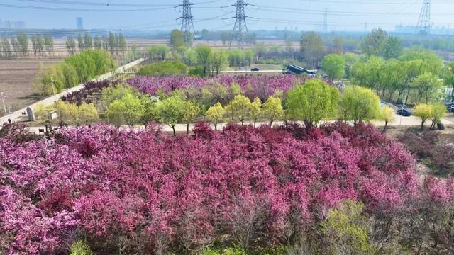 第五届！盛大开幕！门票全免！