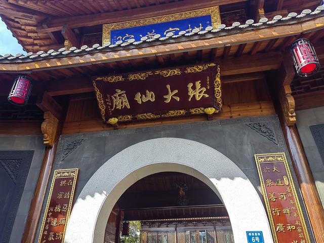 拱宸桥2025年菊花展掠影