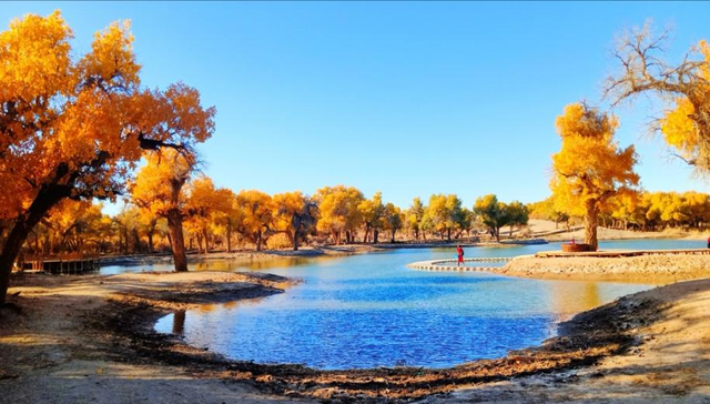 2026来阿拉善过大年｜属马 / 姓马专属优待，@你“马”上享受优惠