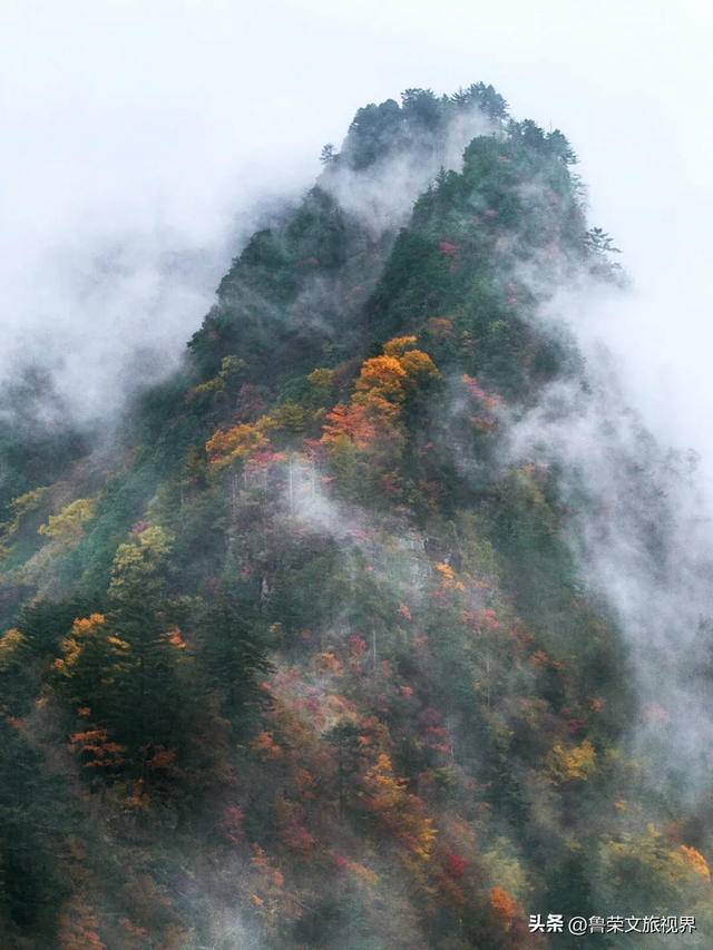 11月旅行：在山河秘境中，邂逅最本真的秋日浪漫