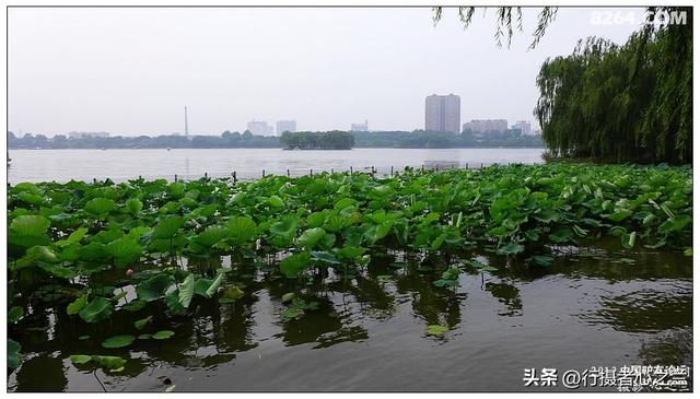 山东行游影记（12）—济南大明湖（一）