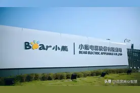 暴跌85%！被曝以假充真，又一收割中产的网红家电巨头，跌落神坛图片