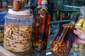 男人必藏！这6个药材泡酒新配方，简单实用一学就会！图片