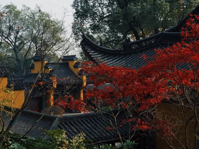 杭州人私藏的红叶地图曝光！这5个地方藏着江南最极致留恋的秋！