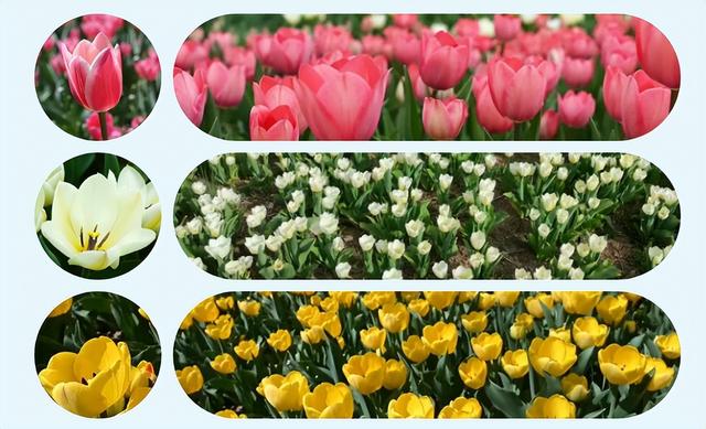 贵清山20℃的清凉秘境，让眼睛与心灵一起深呼吸