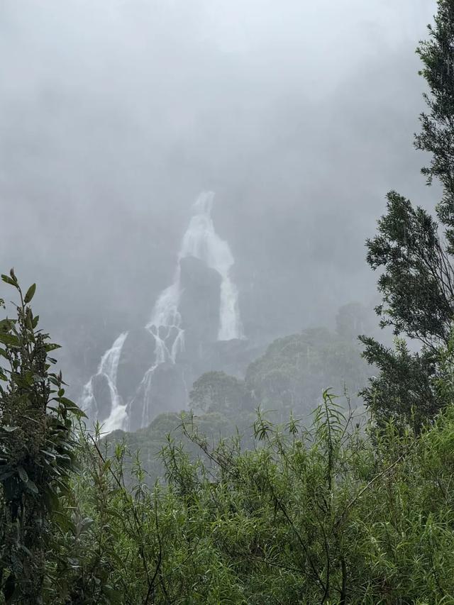 澳大利亚22日世界文化遗产与自然之旅游记+攻略