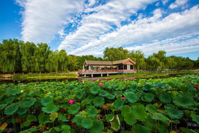 60岁之后一定要去一次！北京对老人免票的20+景点，不花钱还好玩