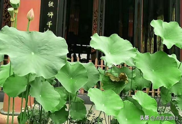 成都北门外超级精巧的古寺，越来越多的人前往，地铁直达!