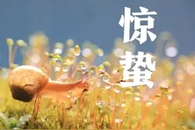 “不怕惊蛰晴，就怕惊蛰阴”，今日惊蛰，阴天有啥说法？了解下图片