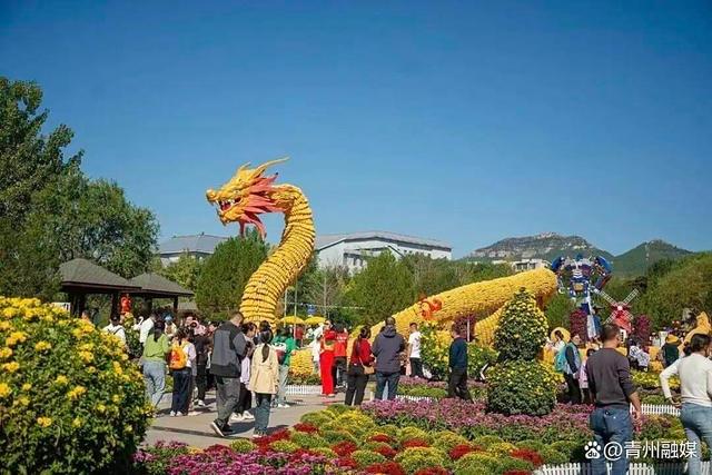 潍坊青州：多元业态点燃国庆假期消费热潮