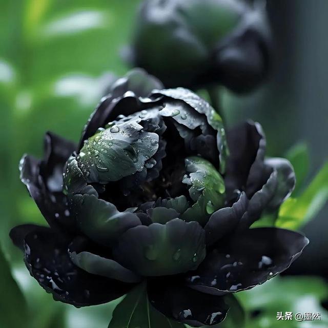 人这辈子	，拼尽全力都最后图个啥？是图那口气？还是图个体面？