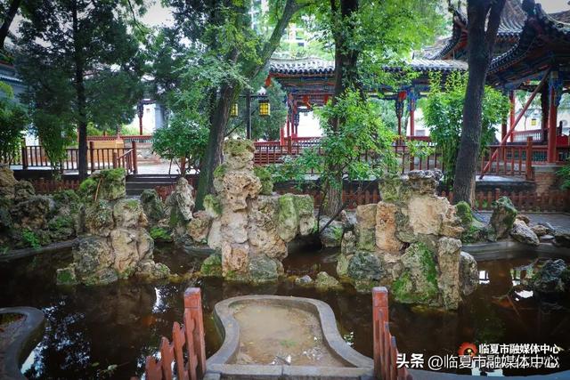 秋雨落，诗意起…邂逅临夏秋雨的美