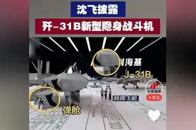 向世界宣布！不仅歼35，我们还有歼31，全球独创战力对抗美制F35图片
