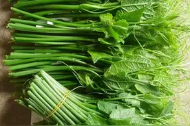 夏天，使劲吃这菜，一护眼、二清肺戒烟、三减脂，当季鲜嫩别错过图片