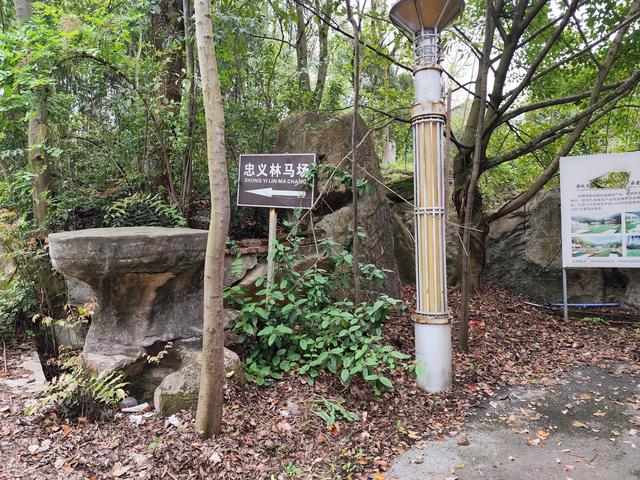 神秘古堡中的王子与公主是不是要苏醒了？