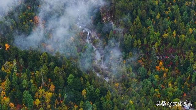 哇塞！西藏这里美出天际！冰川彩林，美成仙境！