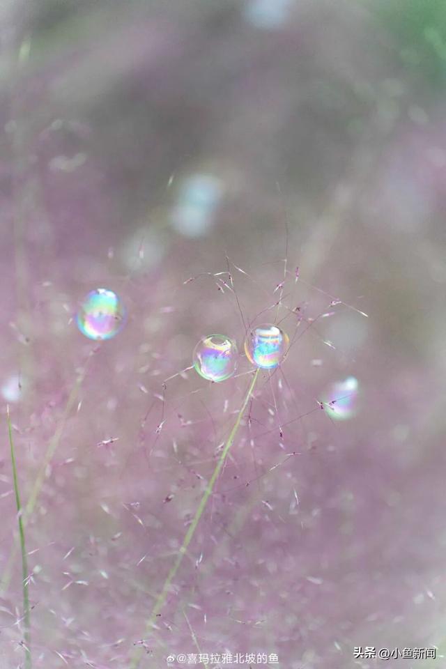 我等得花儿都...开了