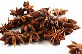 八角买“直角”还是“钩角”？记住这几个技巧，避免买到毒八角图片