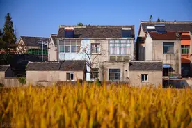 农村宅基地"一宅两户"确权攻略，避开这些坑，权益不打架！图片