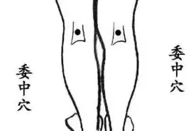 腿上隐藏两个“明目穴”，一个明目亮眼，一个退热清晰图片