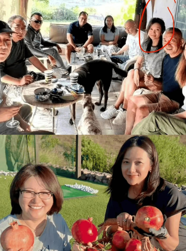 私生活"混乱"？定居国外的"风流才女"徐静蕾，为自己的行为买了单