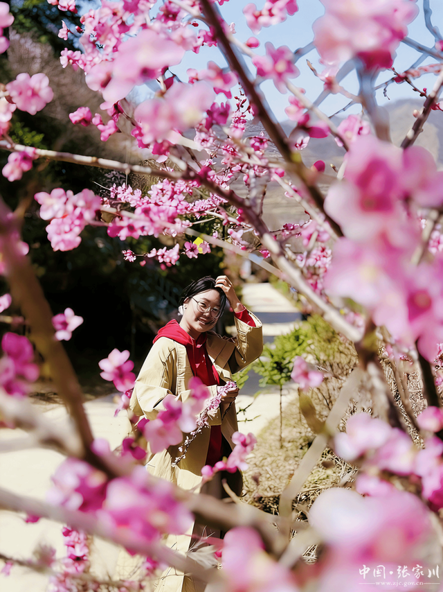 诗意春芳华·花开张家川